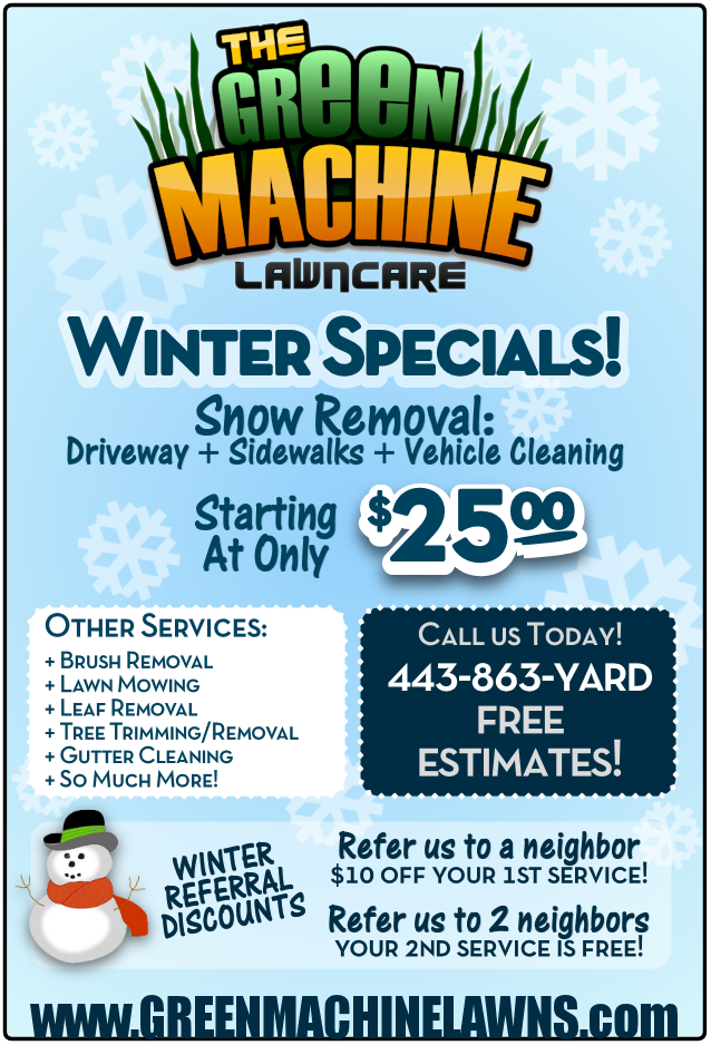 Snow Removal Flyer